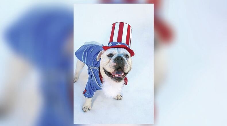 From May 1 through May 31, authorized Exchange shoppers can send in a patriotic-themed picture of their four-legged friends for a chance to win the Patriot Pet Just Say “Treat” Photo Contest. (Metro News Service photo)
