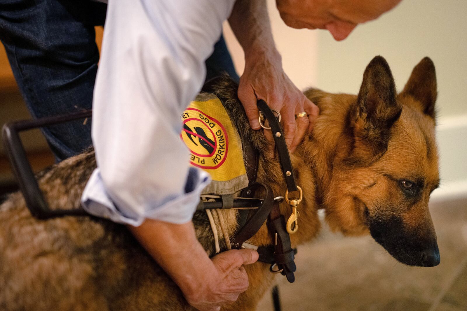 In this 2024 file photo, service dog Vixen helps Judge David Tatel. (Erin Schaff/The New York Times)
                      