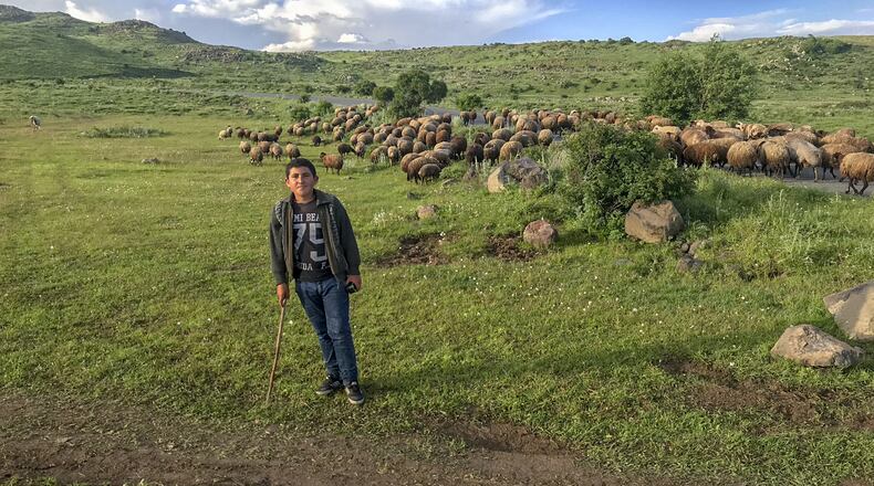 A shepherd watches his flock along the road to Kari Lake at the base of the Aragats peaks. (Ralph Vartabedian/Los Angeles Times/TNS)