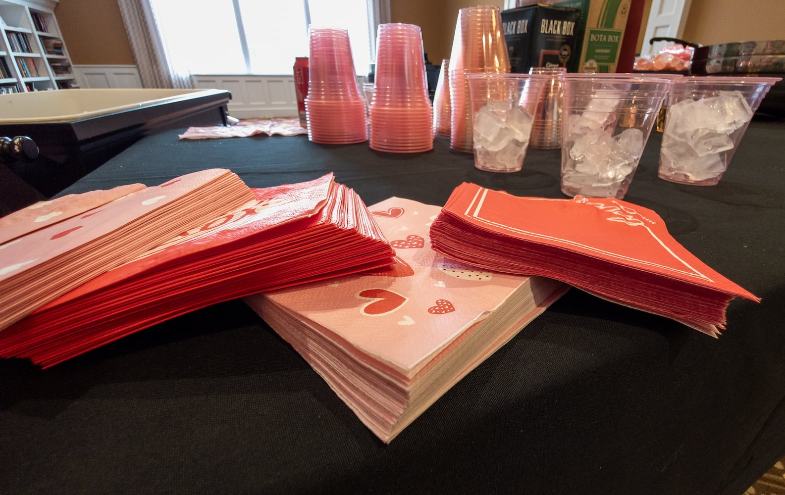 Courtyard at Centerville Sweetheart Soiree