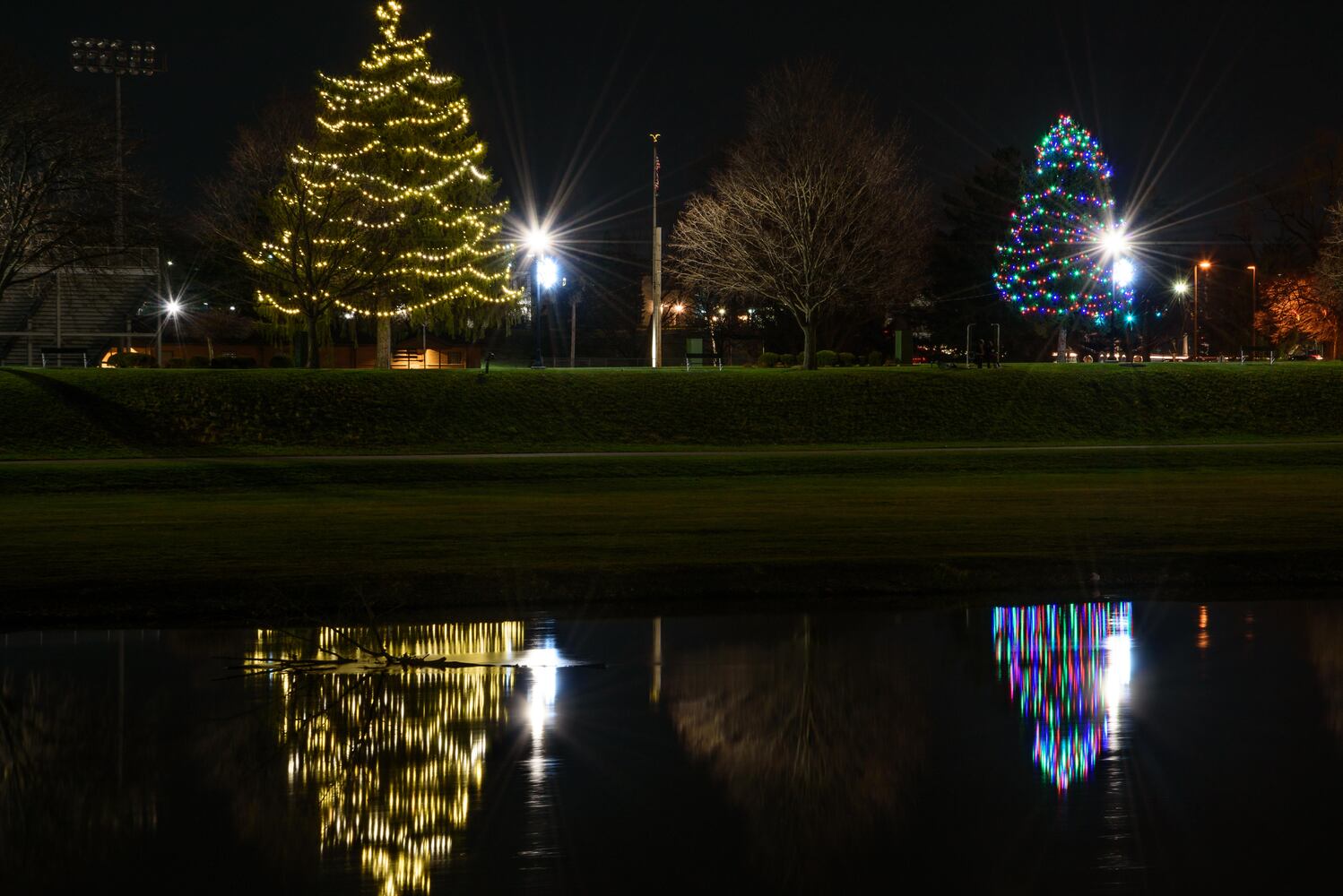 PHOTOS: Troy’s Holiday Tree Lighting