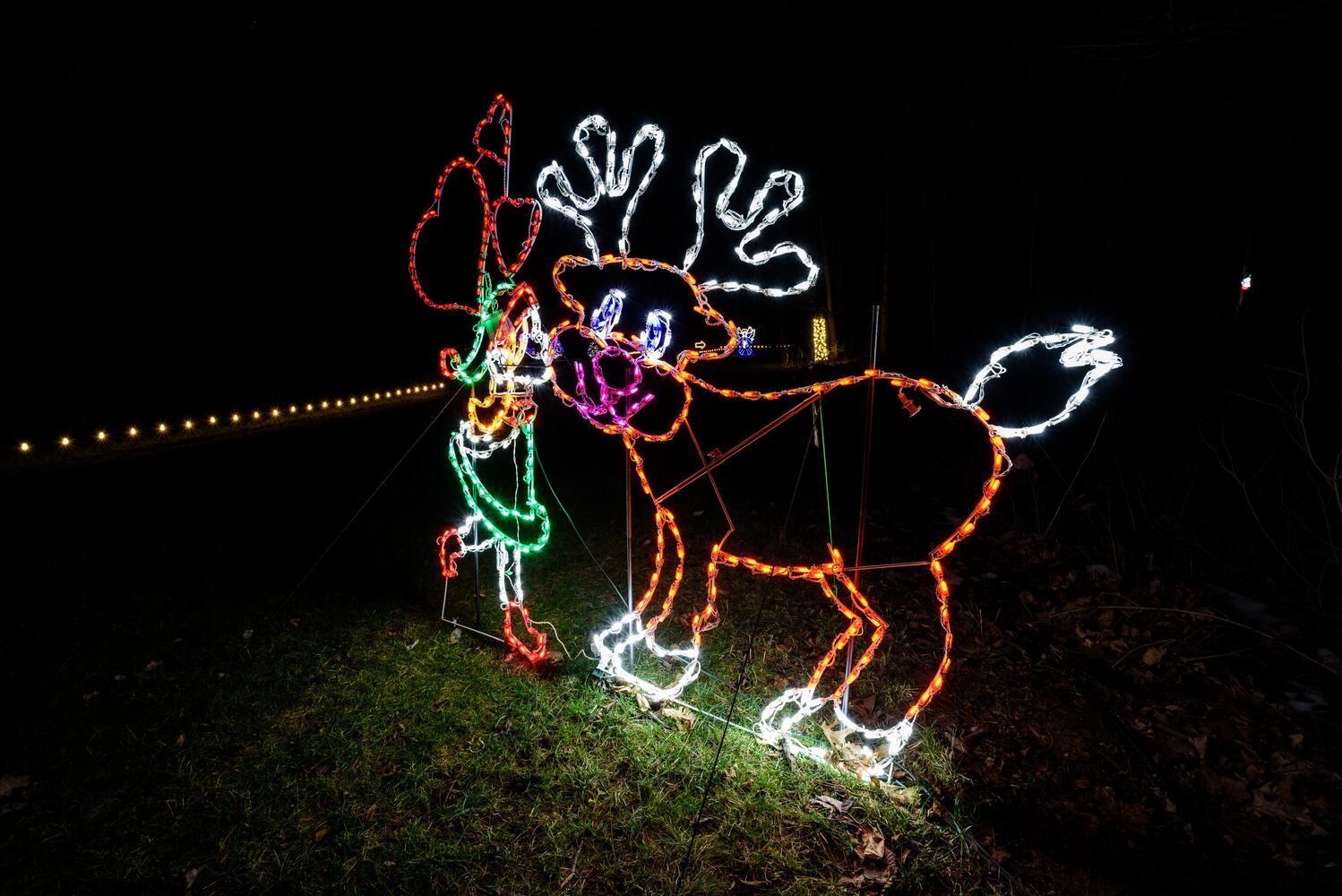 PHOTOS: Holiday Lights dazzle at Lost Creek Reserve in Troy