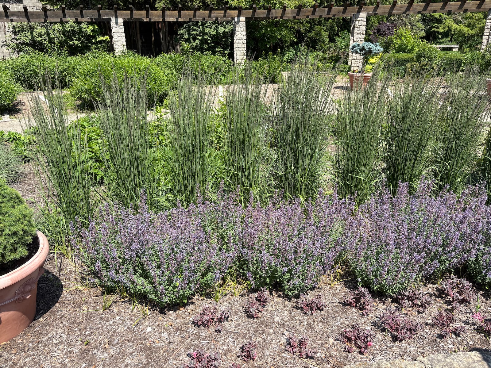 Structuring your garden in layers is an essential task. Contributed by Five Rivers MetroParks