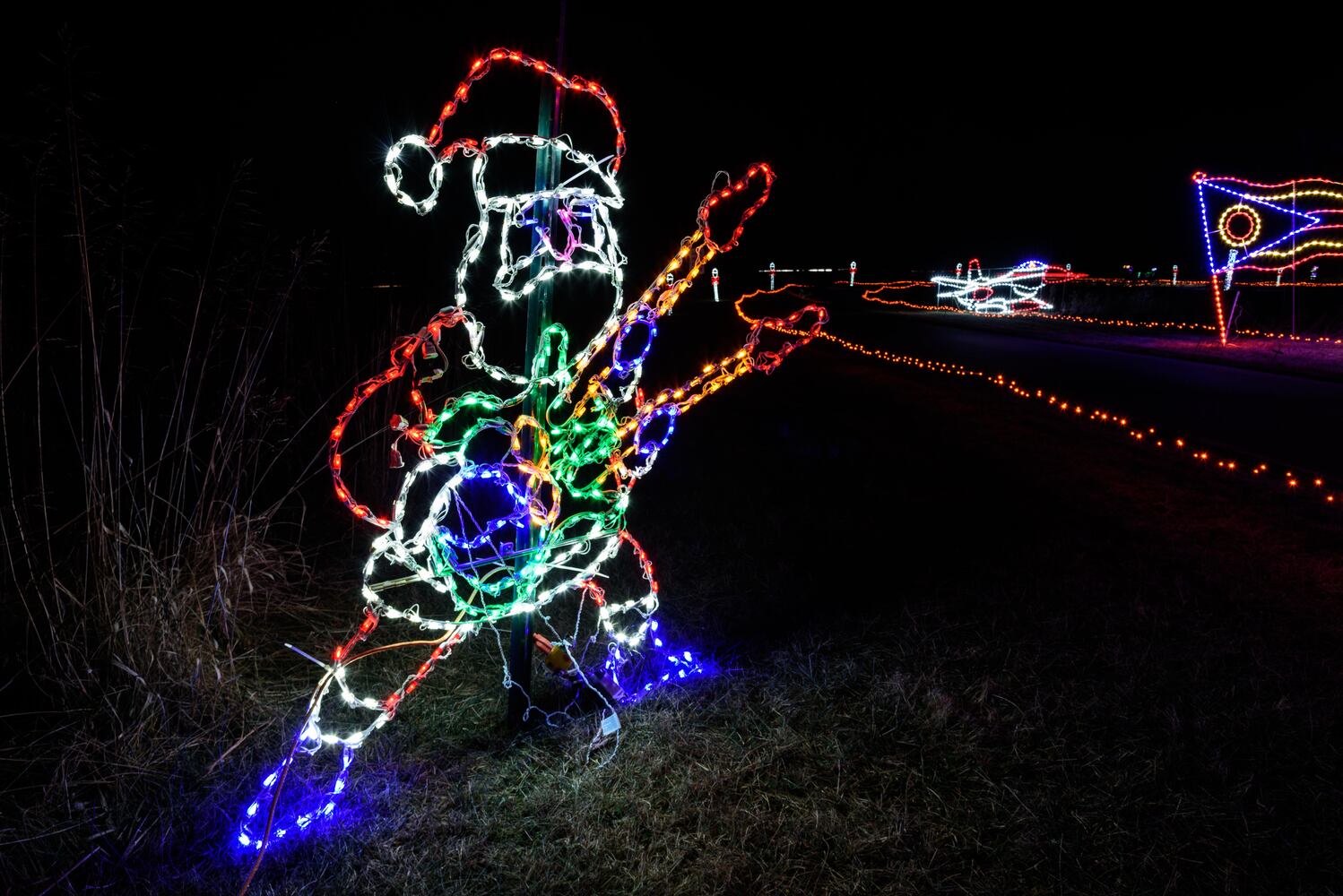 PHOTOS: ParkLights at Caesar Ford Park