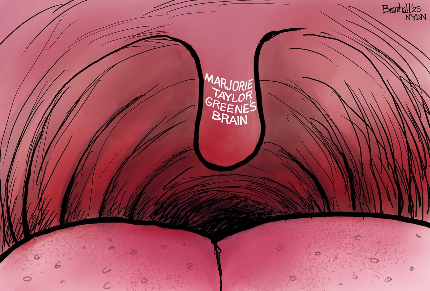 WEEK IN CARTOONS: State of the Union, Super Bowl, Chinese balloon and more