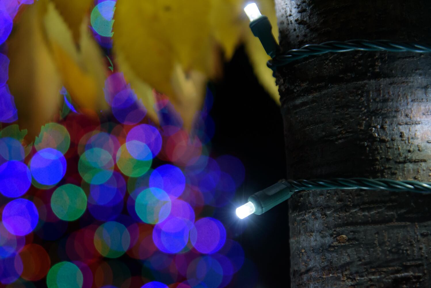 PHOTOS: Did we spot you at the Community Tree Lighting in downtown Tipp City?