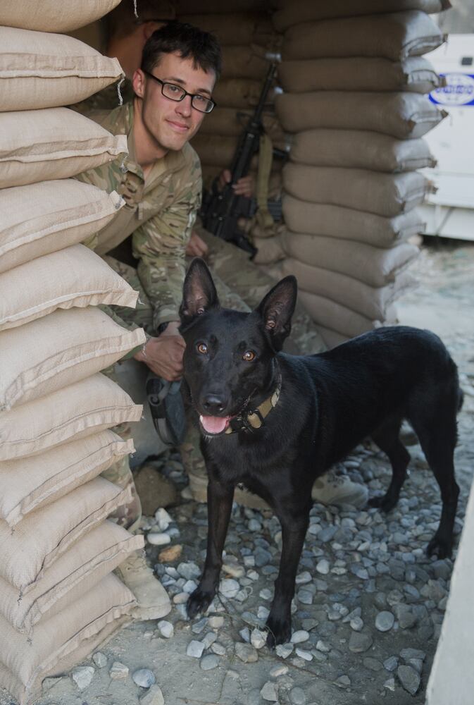 News hounds (8/6/15)