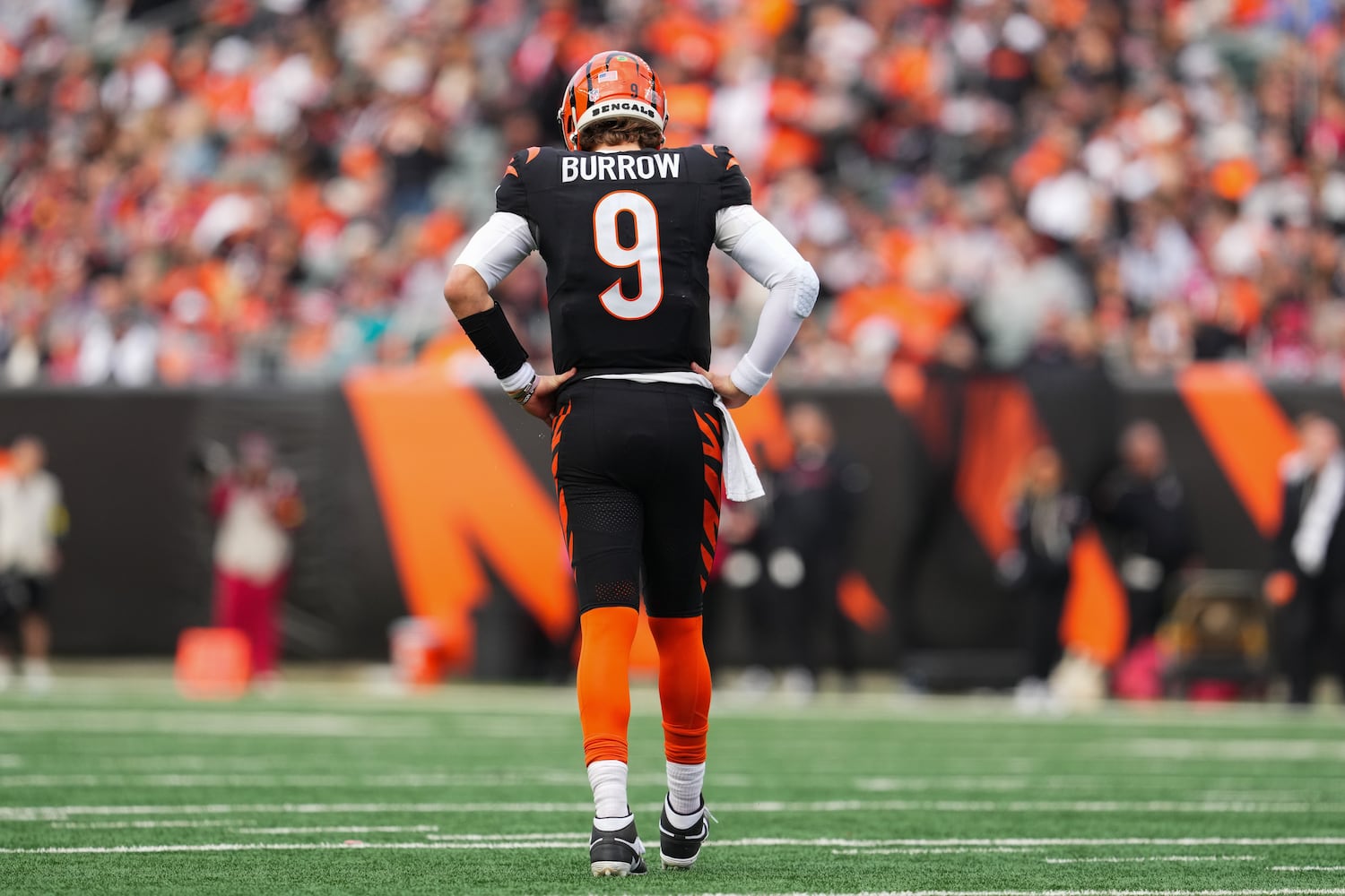 Cardinals Bengals Football