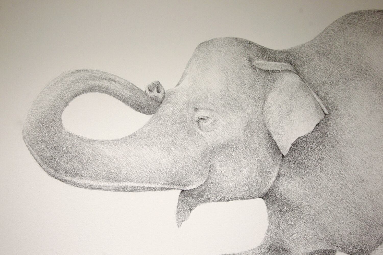 PHOTOS: Don’t miss the elephant and sheep hidden in downtown Dayton