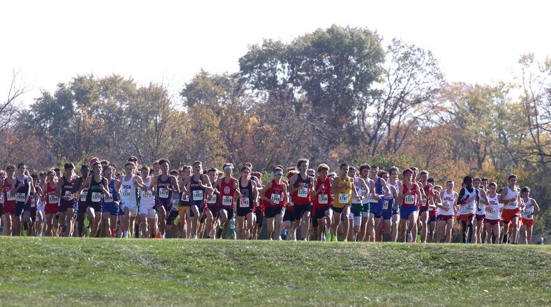 Runners compete in the state cross country meet on Saturday, Nov. 2, 2024, at Fortress Obetz in Obetz. David Jablonski/Staff