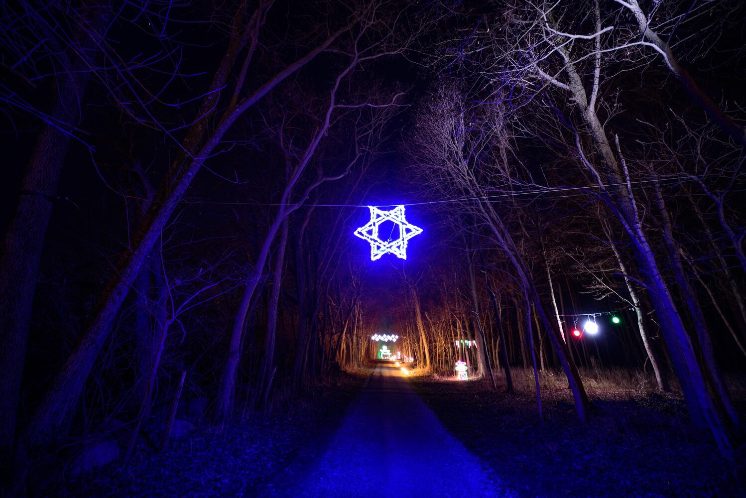 PHOTOS: Holiday Lights dazzle at Lost Creek Reserve in Troy
