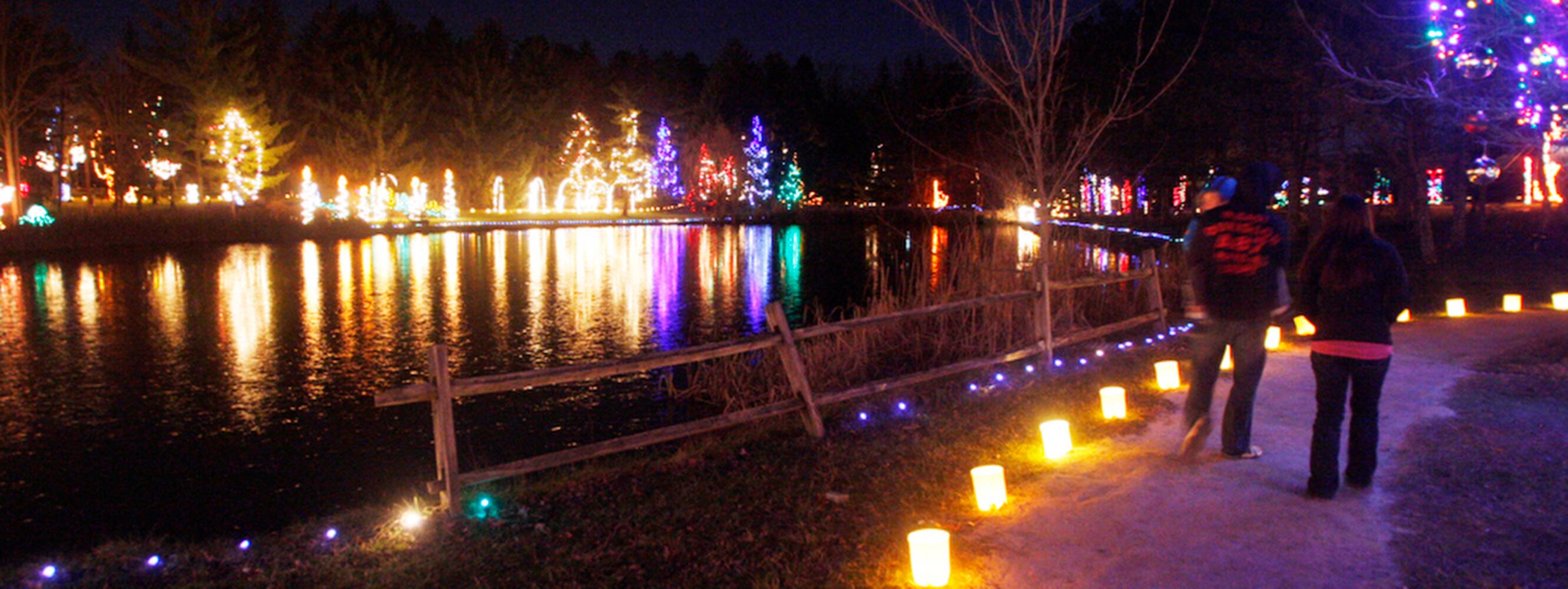 Woodland Lights