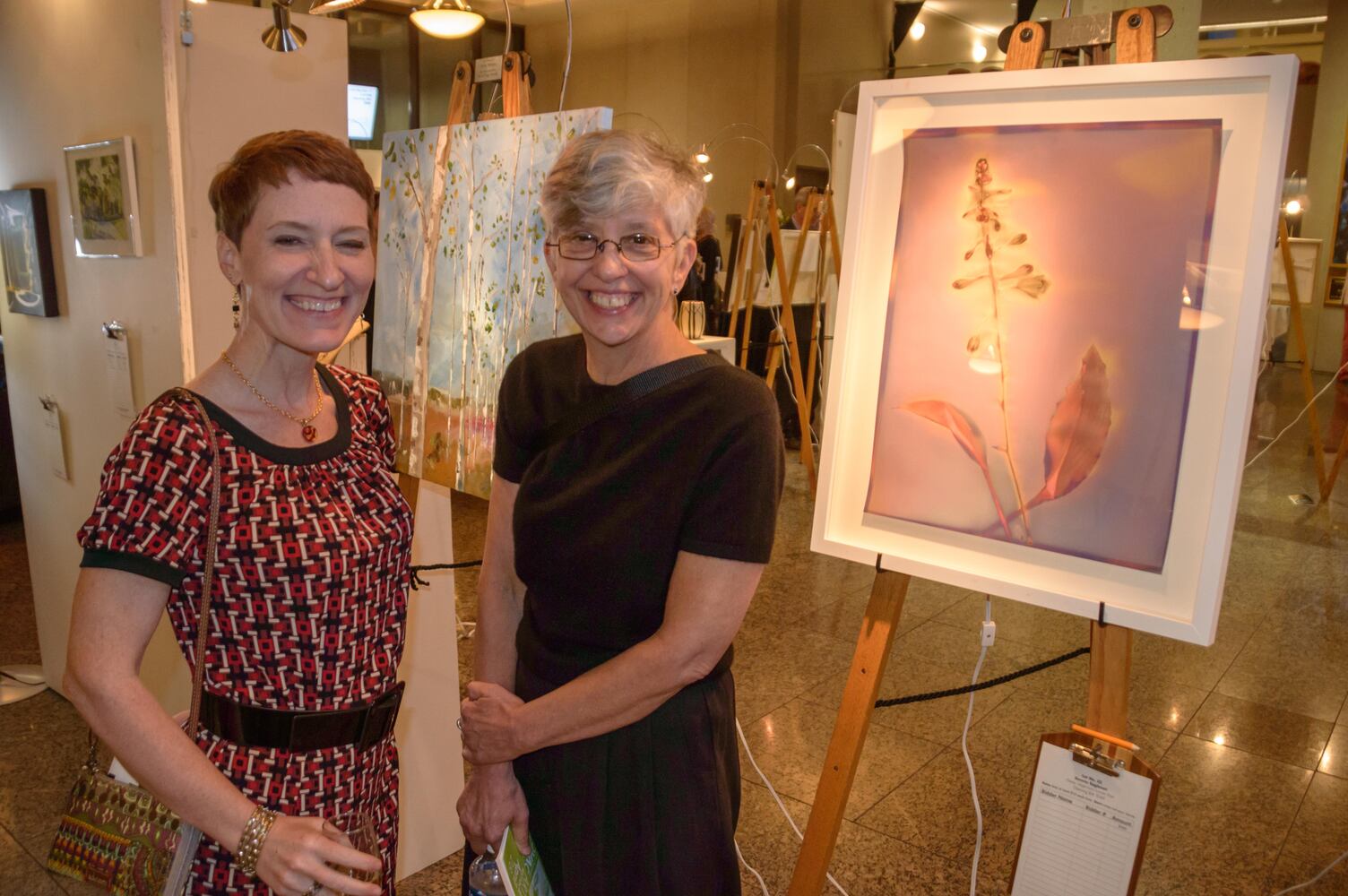 PHOTOS: DVAC Art Auction 2017