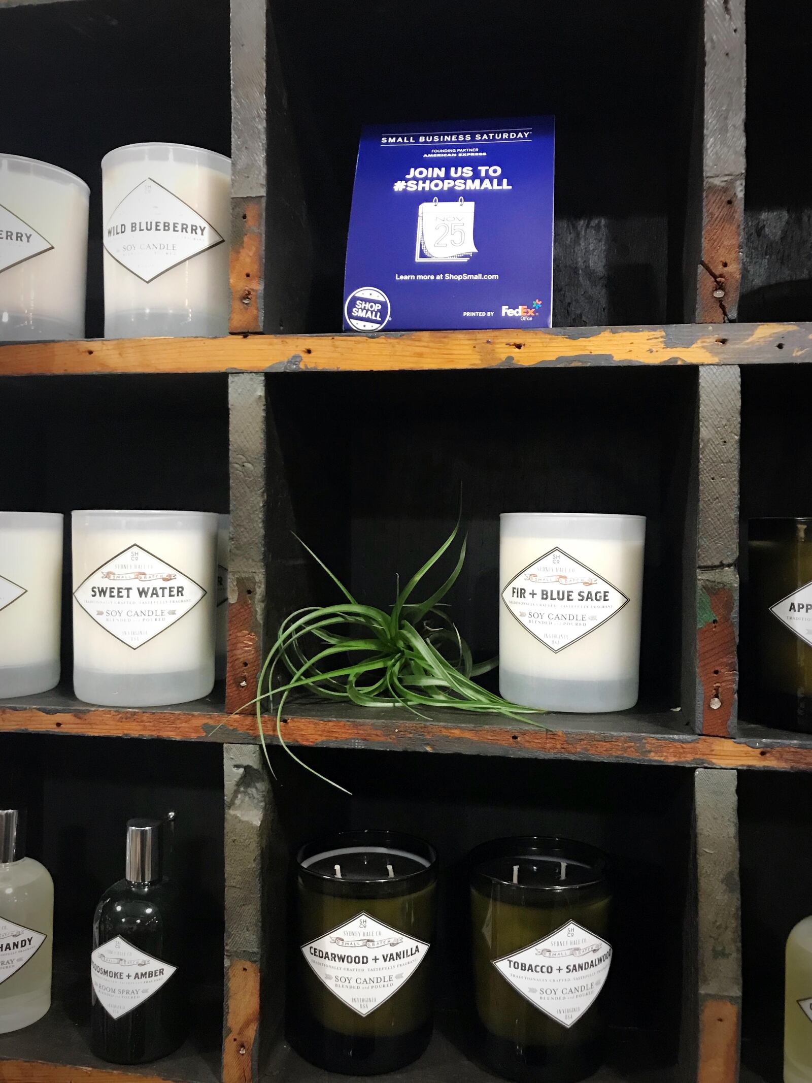 Agnes & Orson gives back: with the purchase of Sydney Hale Co. candles, 10% of the $30 candle goes to local animal shelters. A favorite scent: Fir & Blue Sage. PHOTO / Tess Vella-Collette