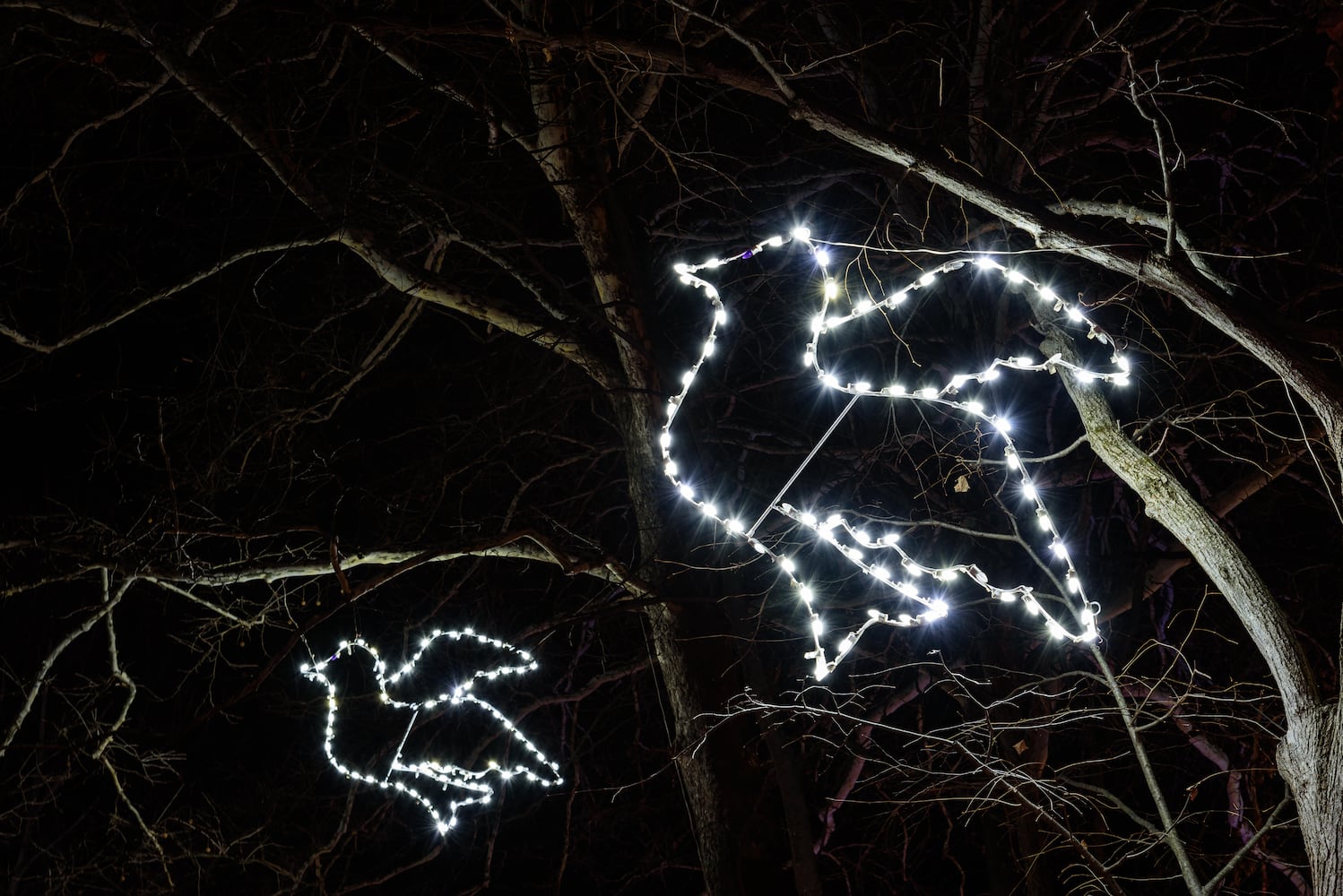 PHOTOS: A walk through Woodland Lights in Washington Township