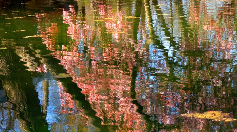 Kissed by sunshine and warm weather over the past few days, spring flowers have started popping up and showing their bright colors throughout the Springfield area marking the re-awakening of Mother Nature for another year. BILL LACKEY/STAFF