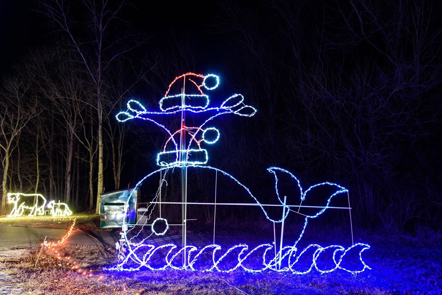 PHOTOS: ParkLights at Caesar Ford Park