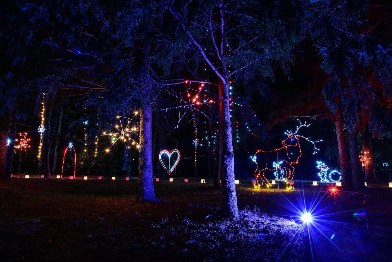 PHOTOS: A walk through Woodland Lights in Washington Township