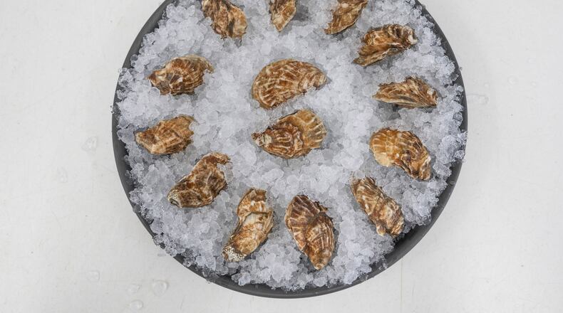 Oysters, described as “clean and crisp from the high current, with a sweet, mellow finish,” at Little Ram Oyster Co., the farm that Elizabeth Peeples and Stefanie Bassett run in Southhold, NY., May 16, 2023. After some initial rough seas, the Brooklyn wife-and-wife team, who left the city behind to raise mollusks, is comfortable on the water and serving up tasty morsels. (Tony Cenicola/The New York Times)