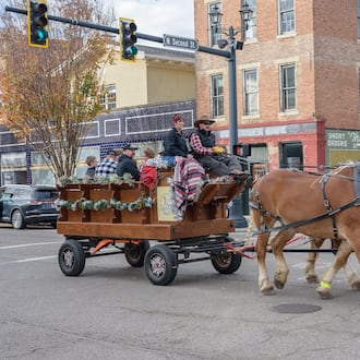 The Yuletide Winter's Gathering in Downtown Tipp City happened from Friday, Nov. 8 to Sunday, Nov. 10, 2024 to kick off the holiday shopping season. TOM GILLIAM/CONTRIBUTING PHOTOGRAPHER