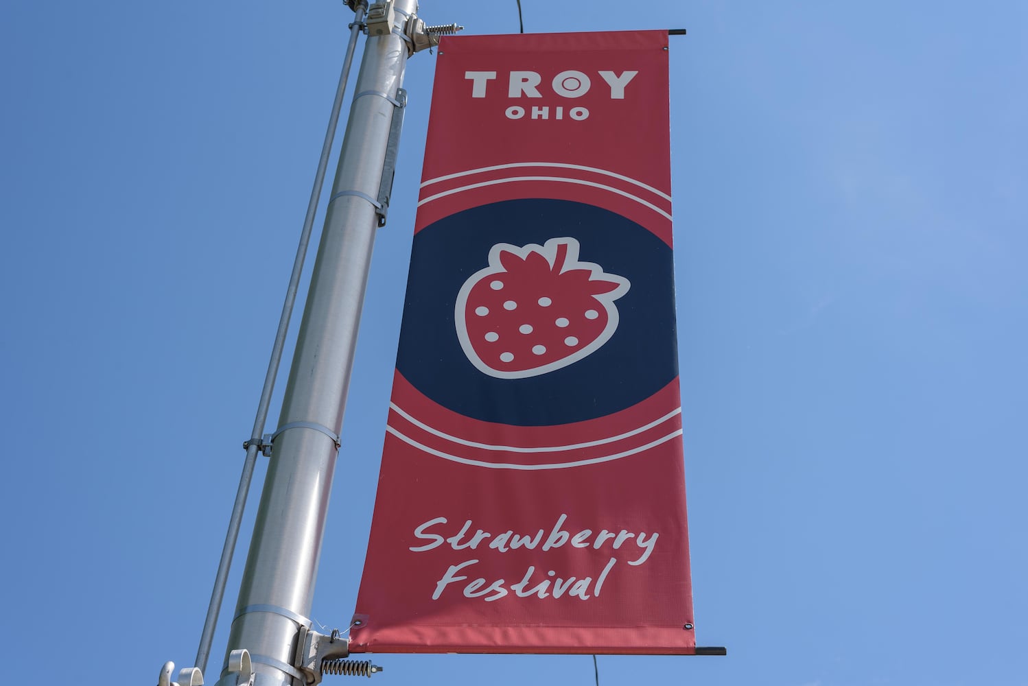 PHOTOS: Did we spot you at the Troy Strawberry Festival?