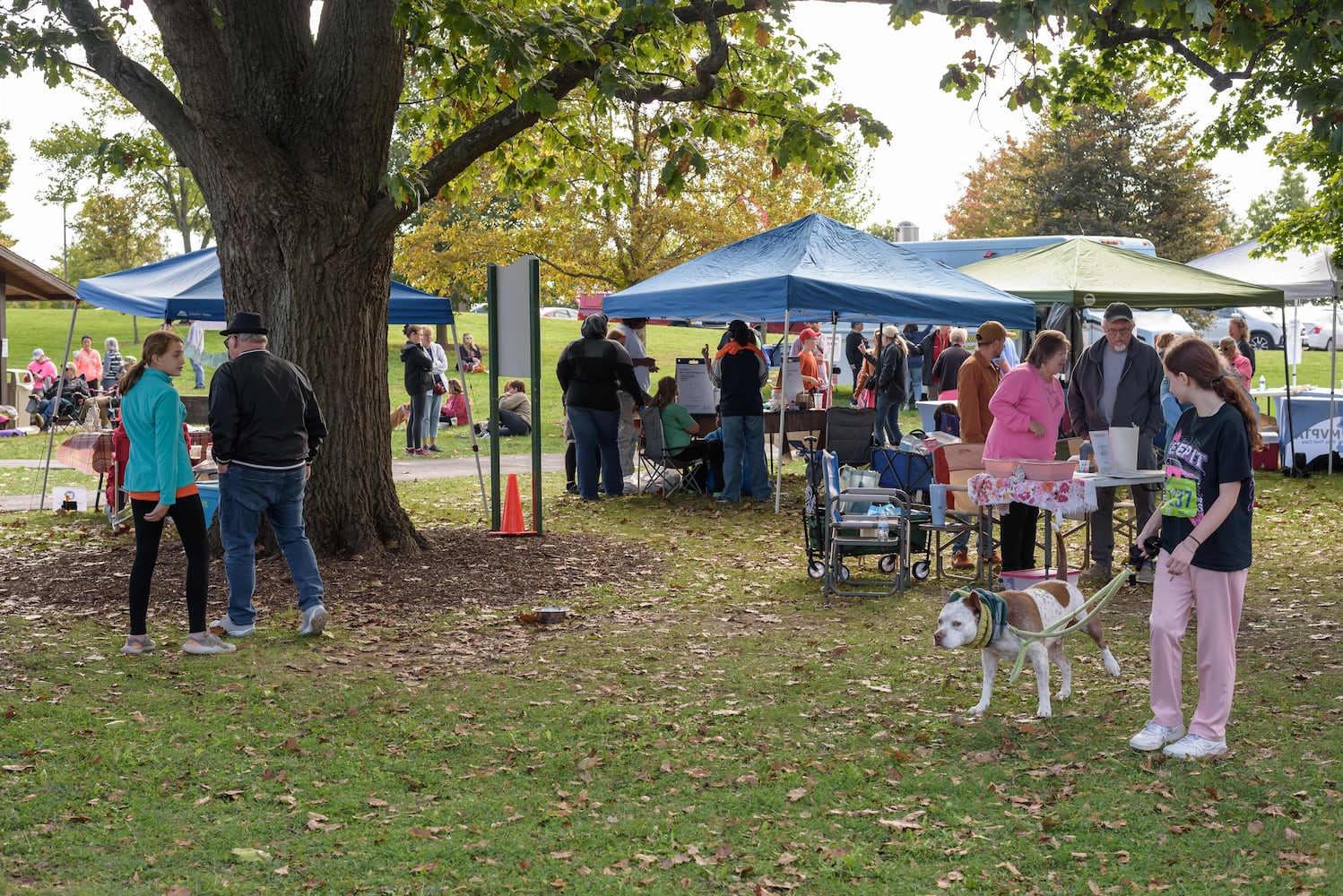 PHOTOS: 2025 PetFest at Delco Park