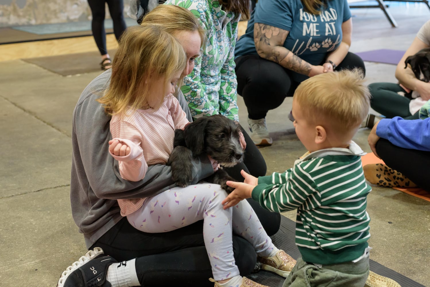 PHOTOS: Puppy Yoga with Adopt a Pit at Base Camp Outdoors Co. in downtown Dayton