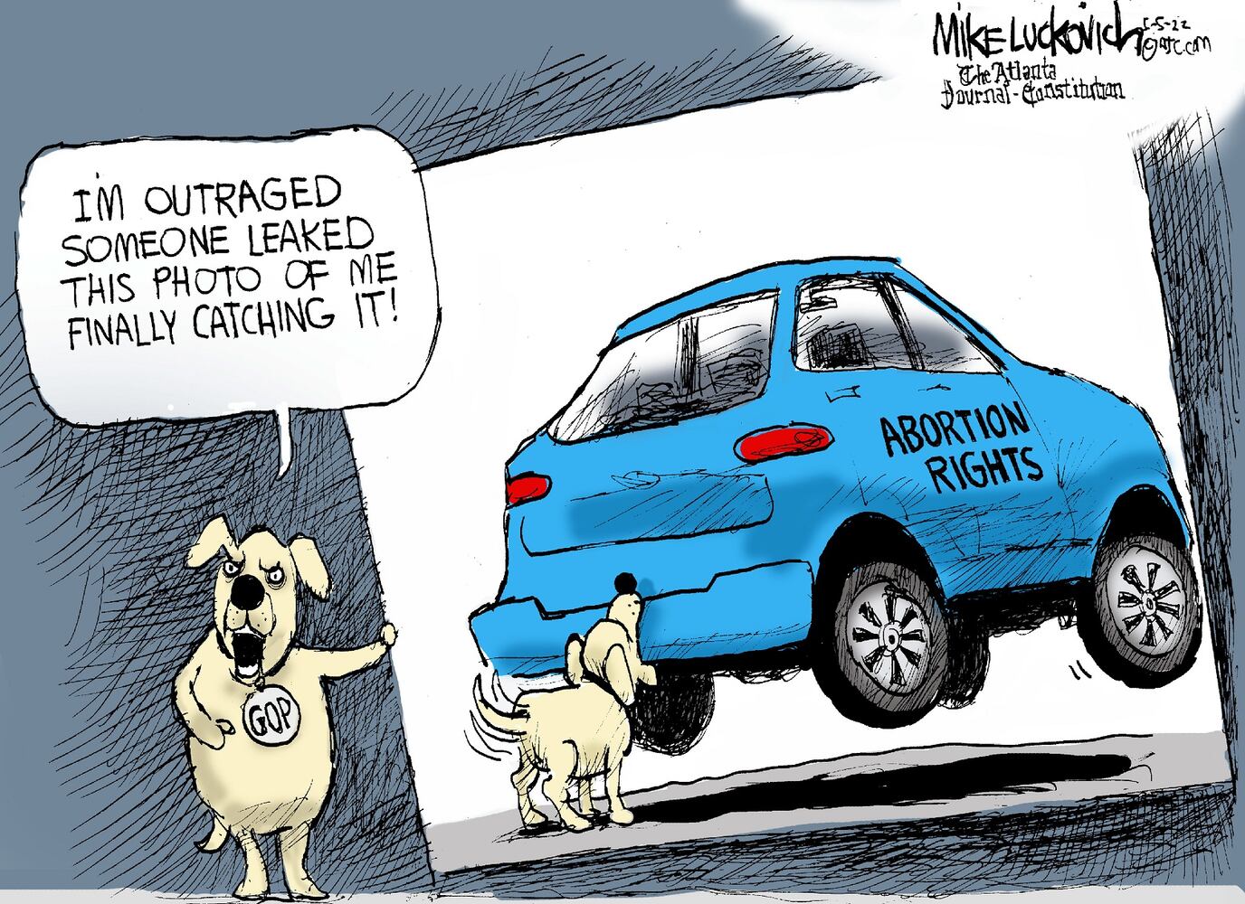 WEEK IN CARTOONS: Supreme Court leak, Roe v. Wade and more