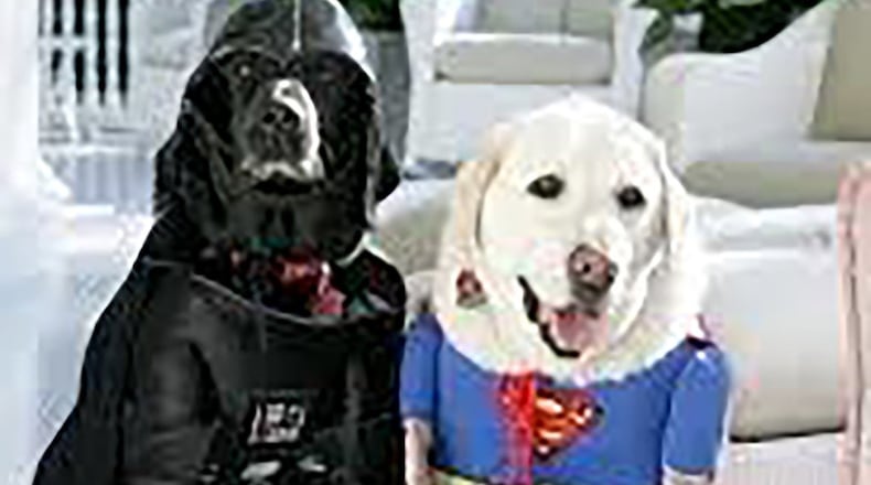 The Wright-Patterson Veterinary Treatment Facility, Bldg. 1425 in Area A, will host its first-ever Howl-O-Ween event Oct. 31 from 1 to 3 p.m. The program will feature a photo booth, guess the treats game and a costume contest. (Courtesy photo)