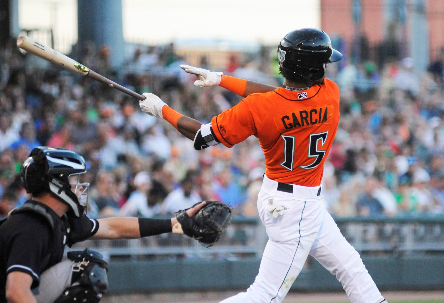 Dragons photo gallery
