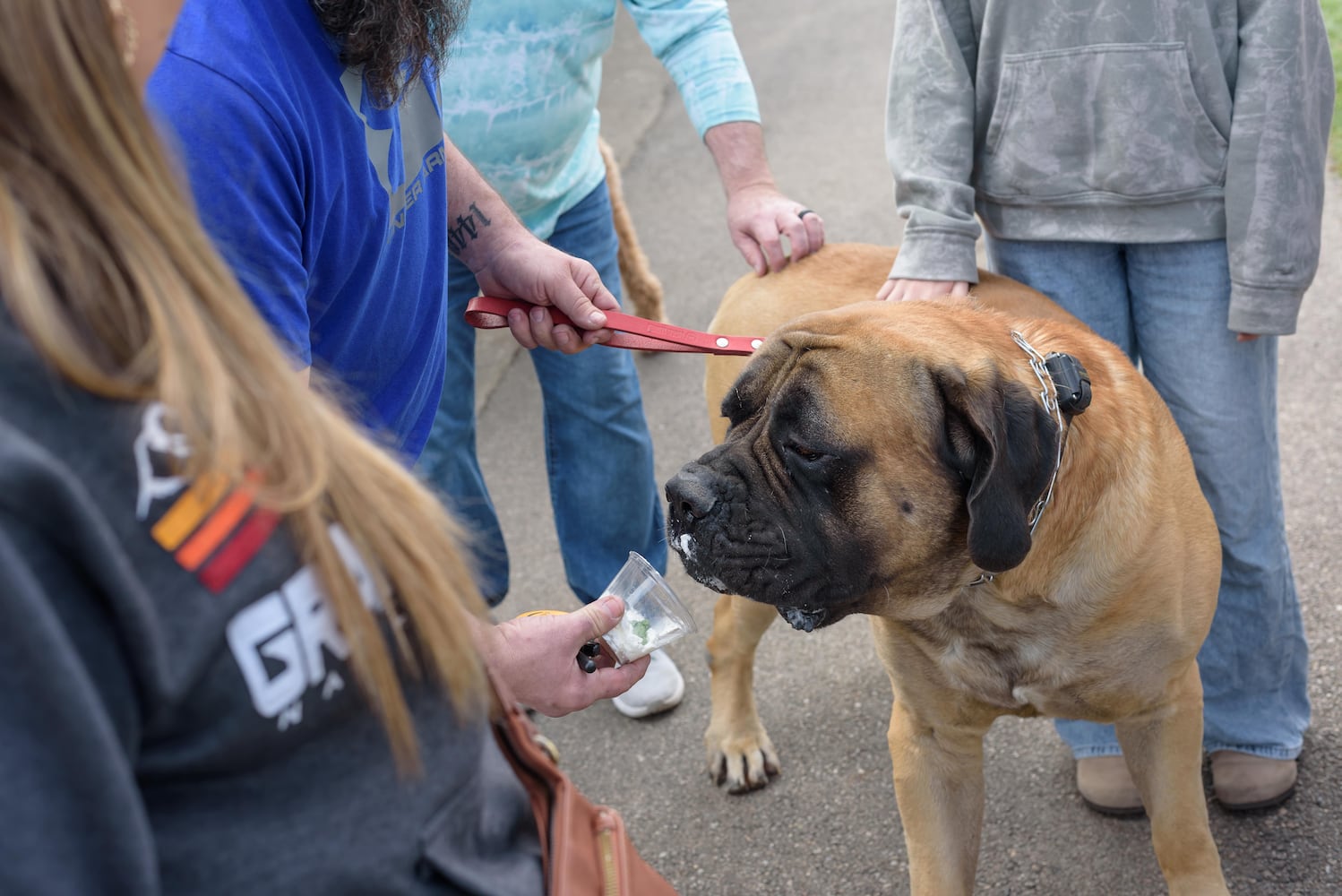 PHOTOS: 2026 Vandalia Paws in the Park Easter Party at Helke Park