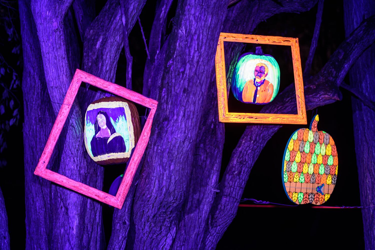 PHOTOS: 2024 Pumpkin Glow at Caesar Ford Park