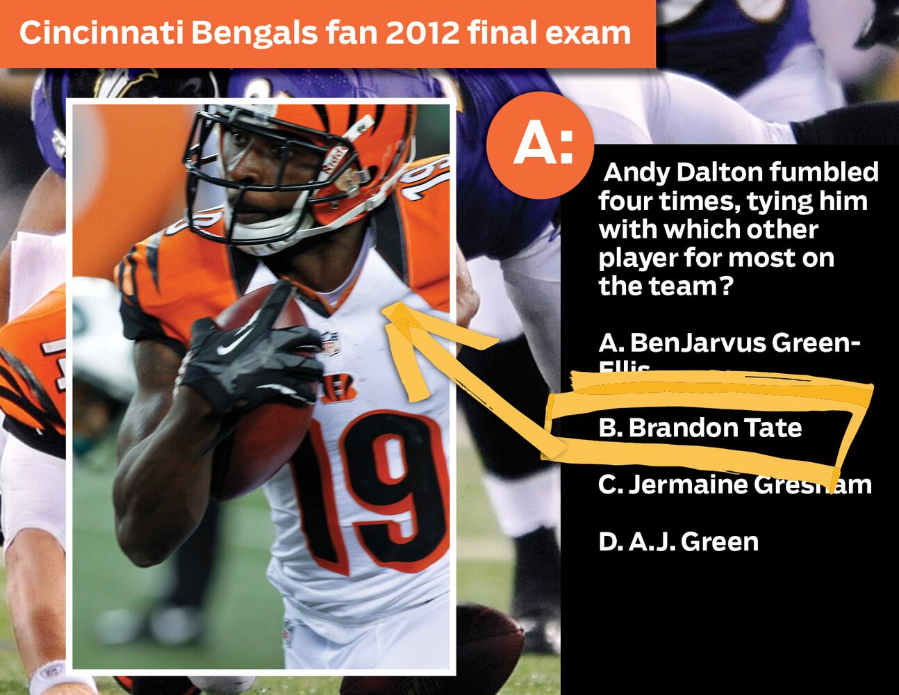 Cincinnati Bengals fan 2012 final exam: