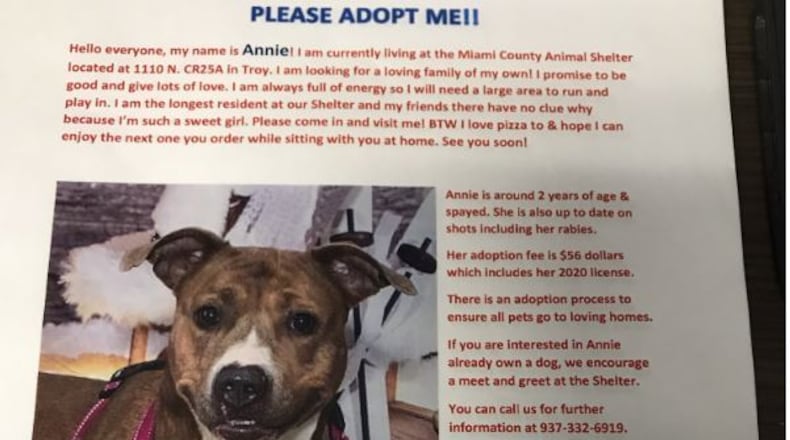 Miami County shelter flyer