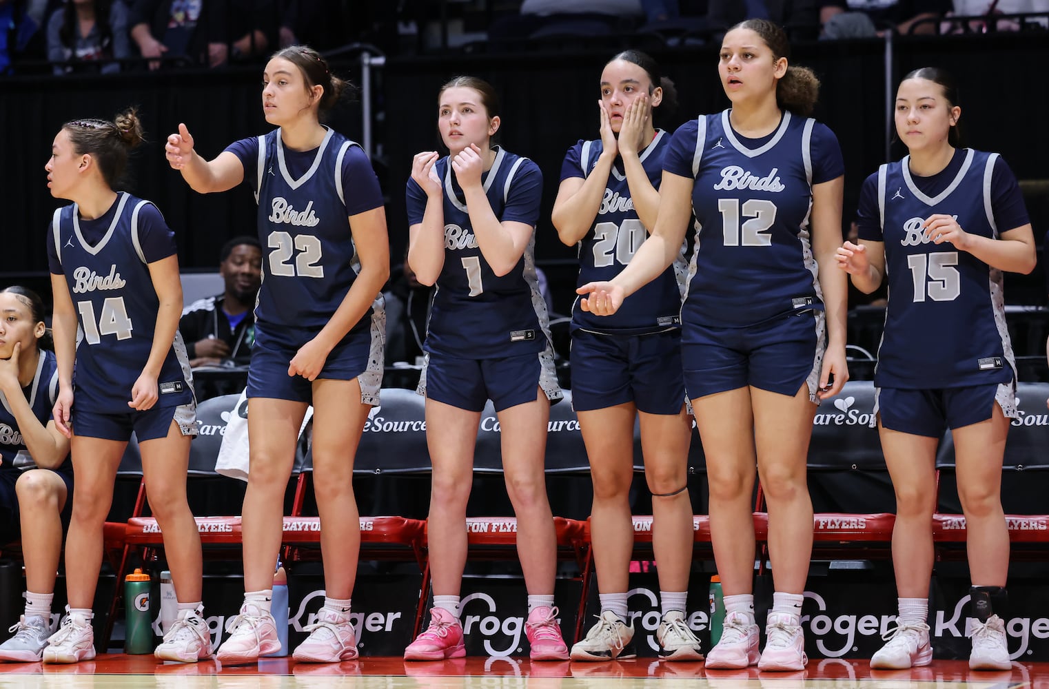 DDN 031626 Fairmont gbk