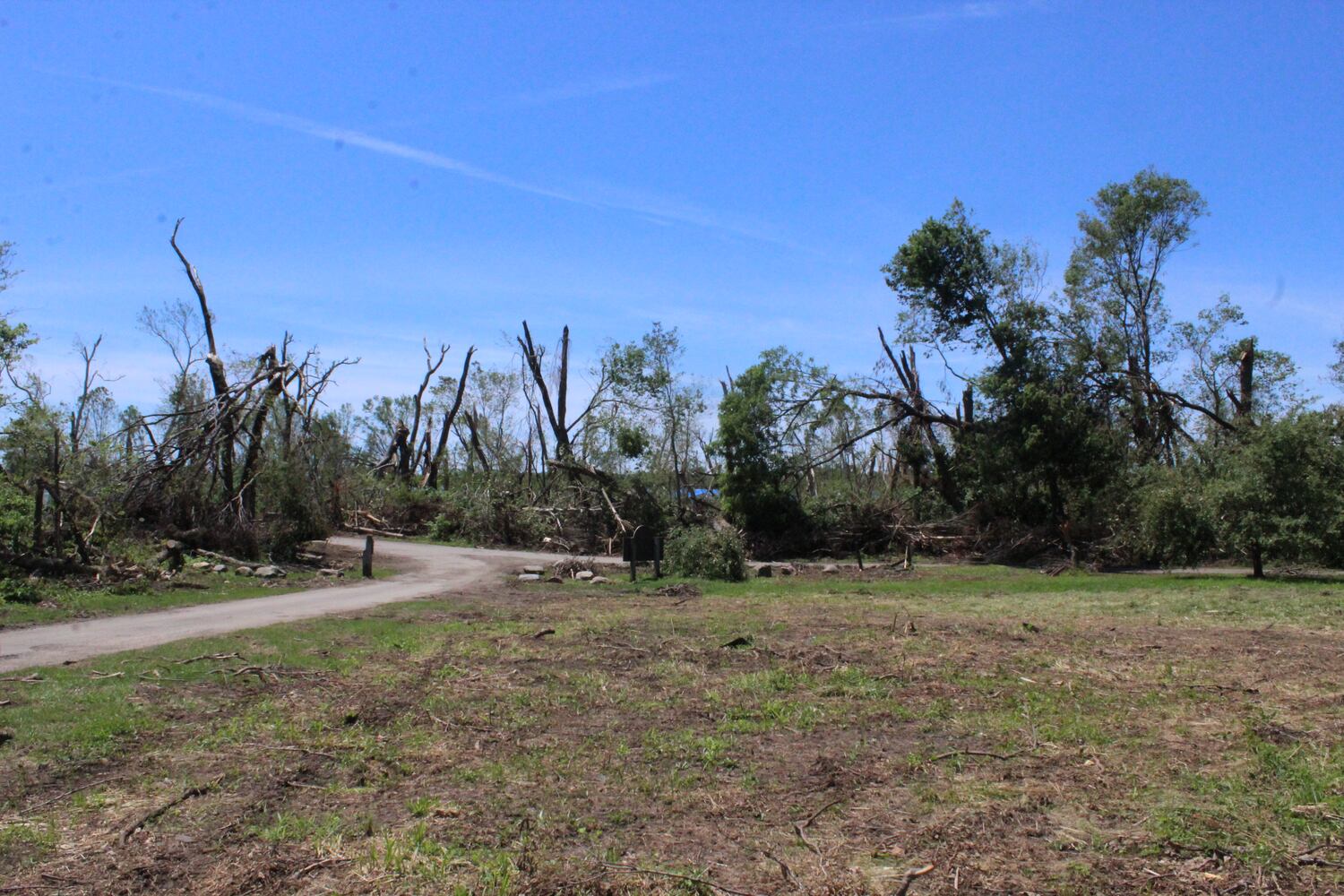 Photos: ‘extraordinary’ damage to parts of  Wegerzyn MetroPark, some parts mostly untouched