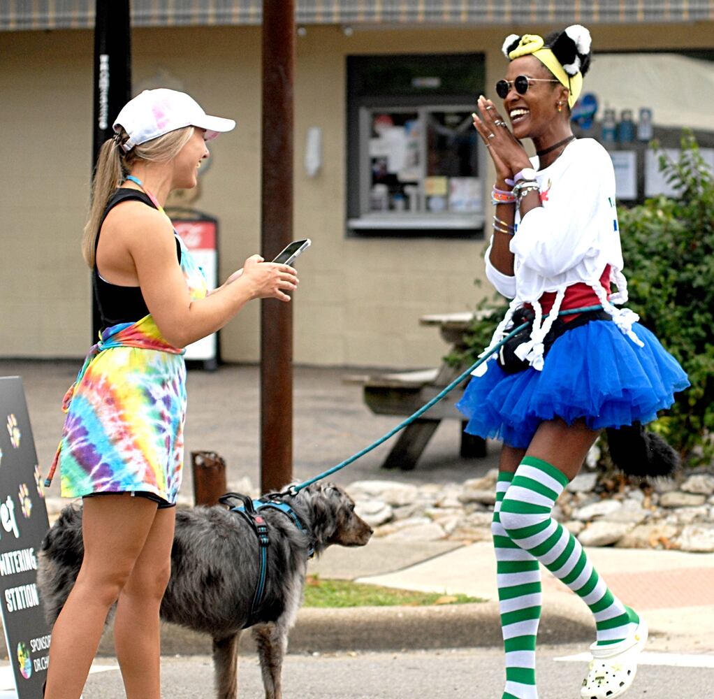 Did we spot you at Springboro's ARTFest on Main 2023?