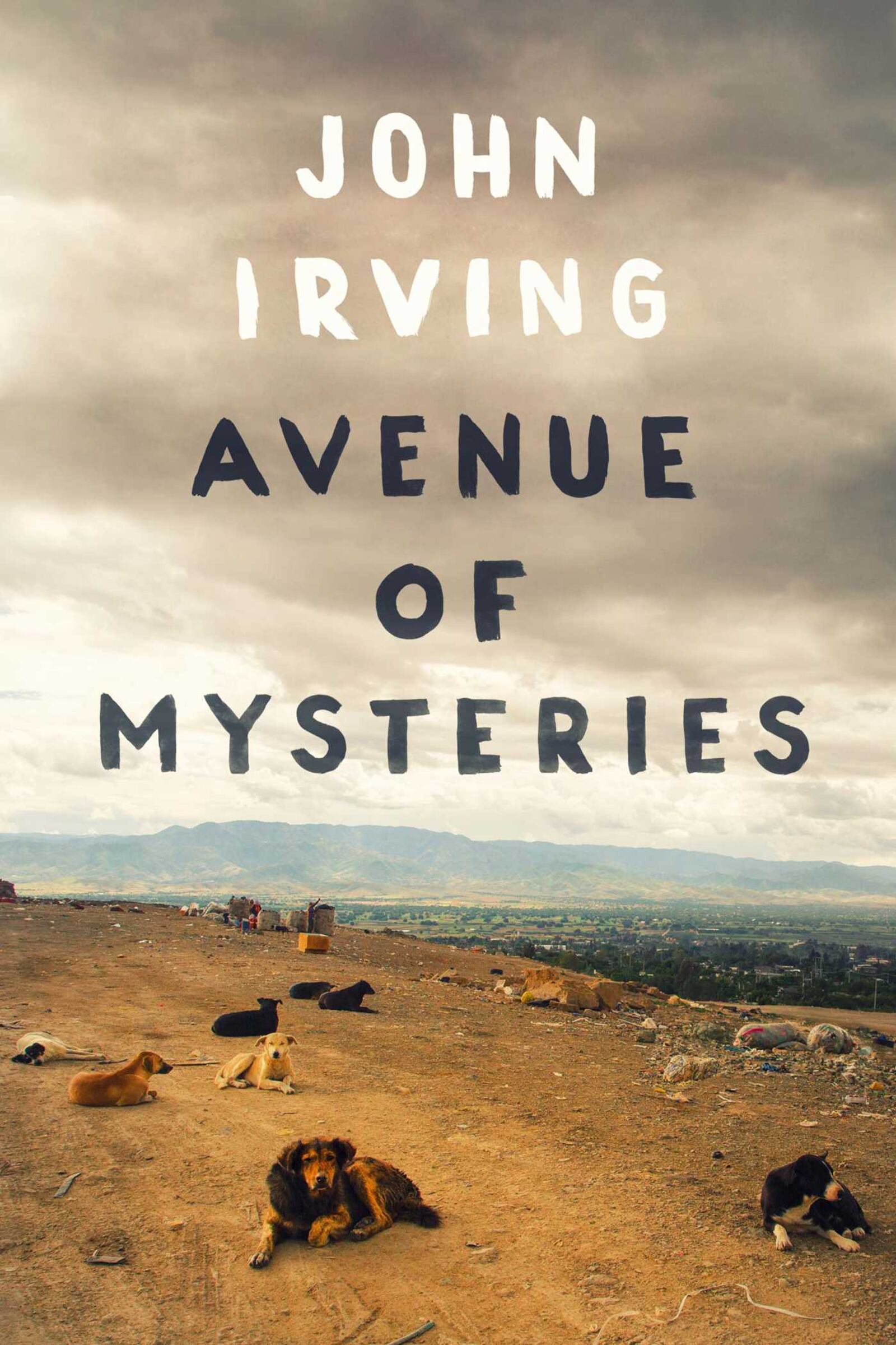 Book:  In Avenue of Mysteries  Author: John Irving