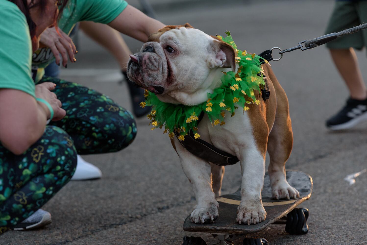 PHOTOS: Did we spot you at the St. Patrick's Day 3.1 Beer Run in Downtown Tipp City?