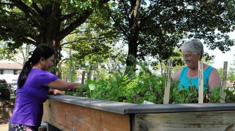 Garden volunteers Aster Knox and Joanna Cooley weed a bed of carrots and beets July 8 at the Wright-Patterson Medical Center Garden, Wright-Patterson Air Force Base. The volunteer-run garden grows everything from tomatoes to watermelon and welcomes anyone with base access to help. (U.S. Air Force photo/Caroline Clauson)