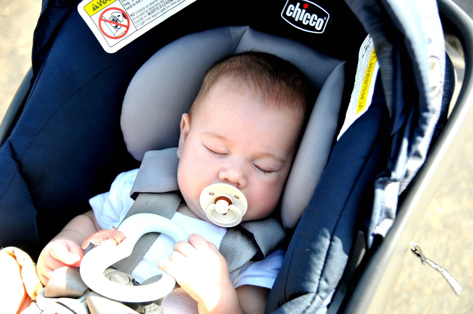 Did we spot you at Archbishop Carroll High School's GarlicFest?