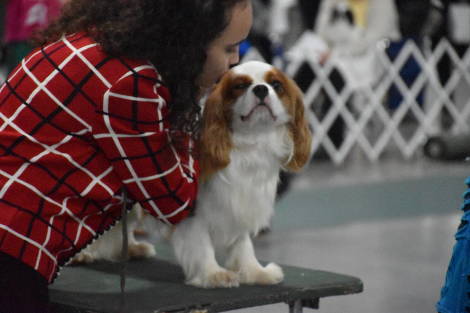 Fort St. Clair Kennel Club Dog Show