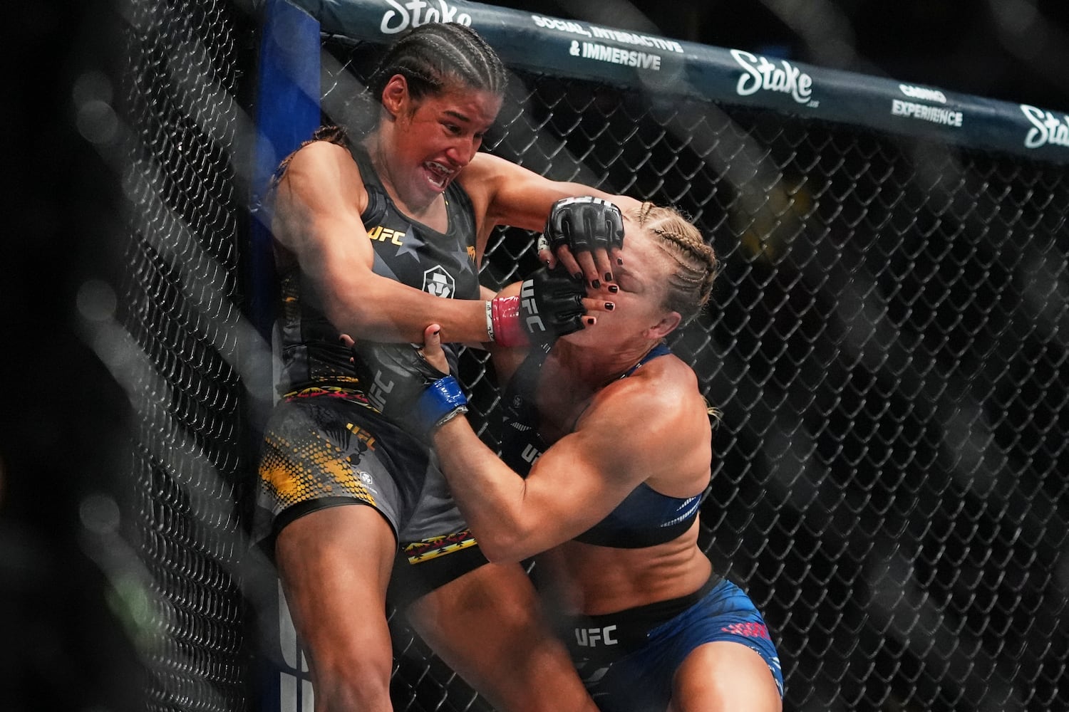 UFC 316 Mixed Martial Arts
