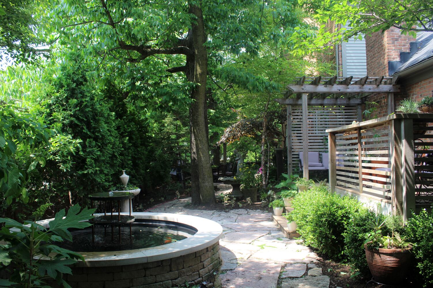 Josh Stucky's secret garden