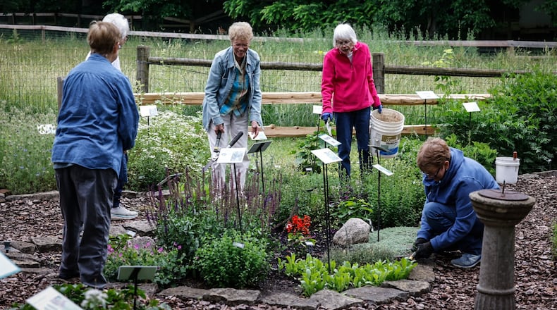 The Greenview Garden Club plant and trim herbs at the Aullwood Farm herb garden on Frederick Pike. JIM NOELKER/STAFF