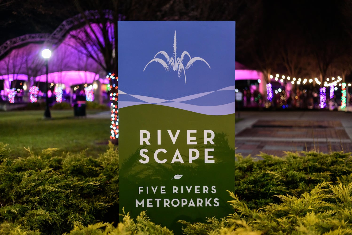 PHOTOS: Swiftie Skate Night at RiverScape MetroPark