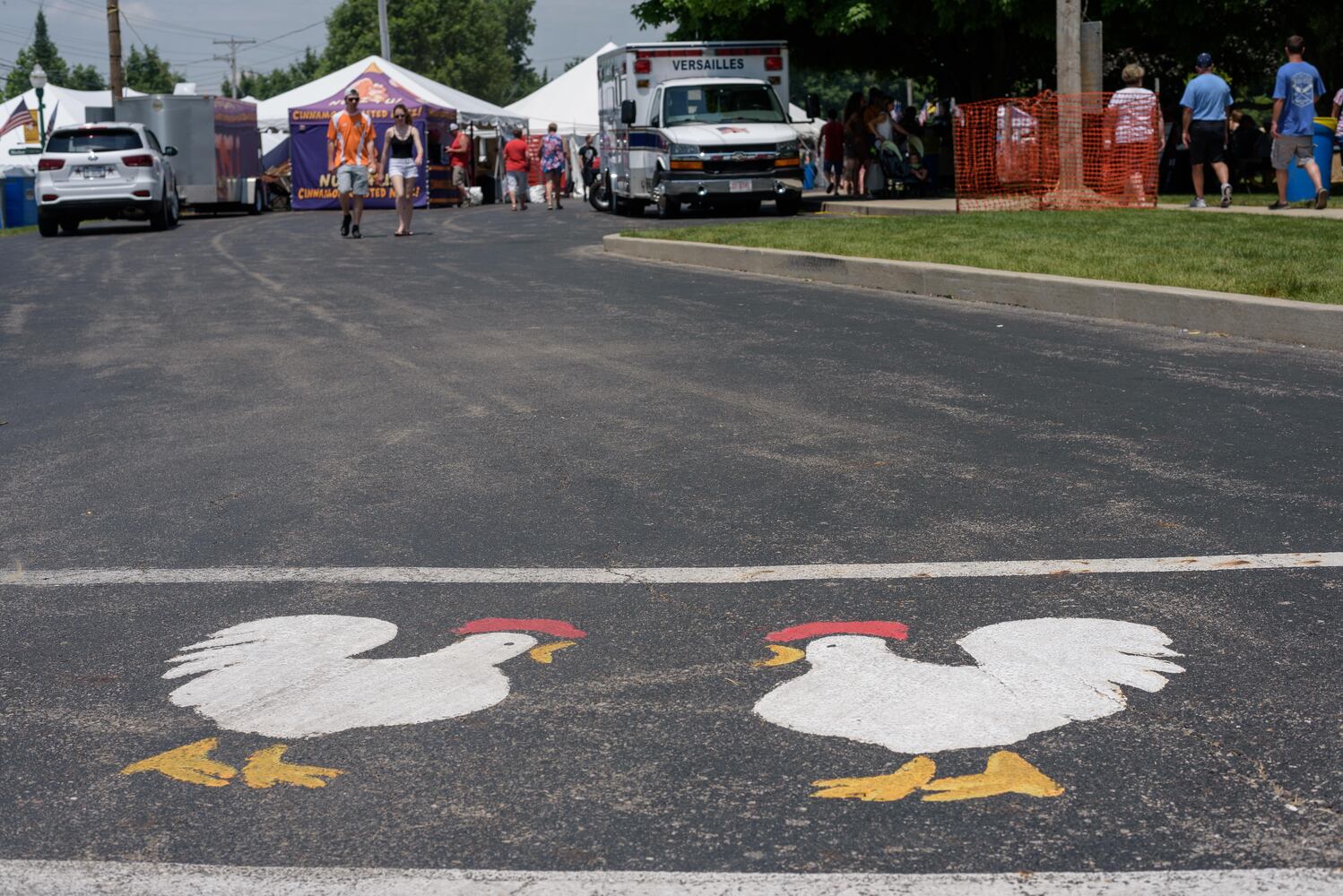 PHOTOS: Did we spot you at the Versailles Poultry Days Festival?