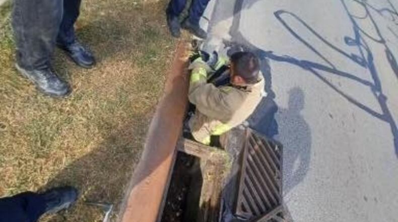 Fire crews rescued a female Yorkshire terrier trapped in a storm drain on Brandt Pike Thursday, Sept. 21, 2023, in Huber Heights. CONTRIBUTED