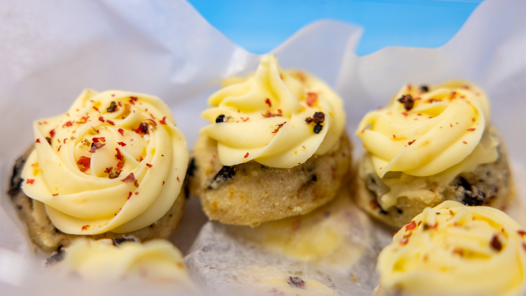 DDN 112425 DDN Holiday Cookie Contest