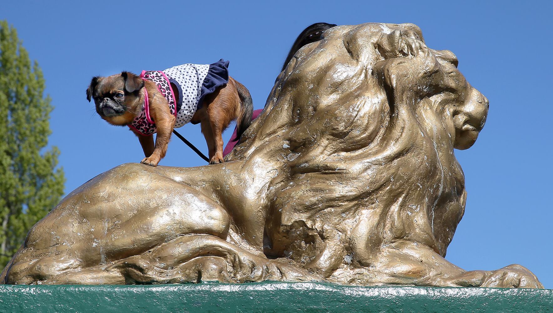 News hounds (4/16/15)